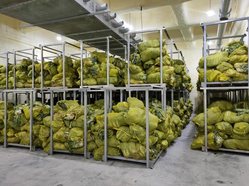 1611122511636692.jpg 2.jpg