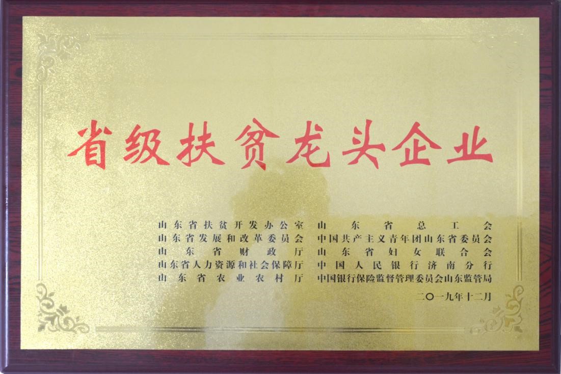 1611304621910501.jpg 1611304621910501.jpg