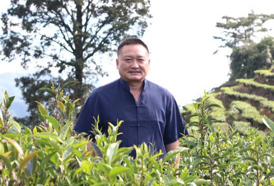 包忠华的“普洱思维”